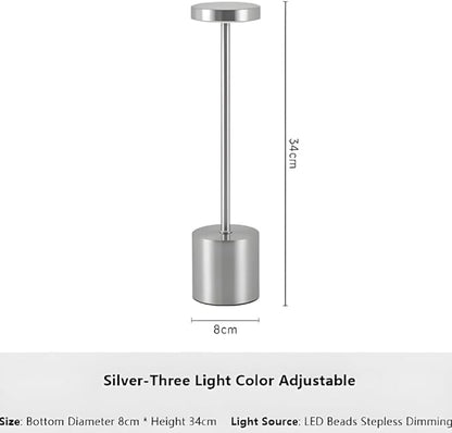 Modern Sliver Rechargeable Table Lamp with 3 Color Light Modes