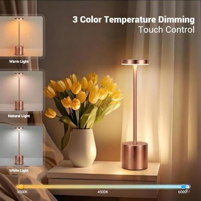 2 Pack Modern Rose Gold Rechargeable Table Lamp with 3 Color Light Modes