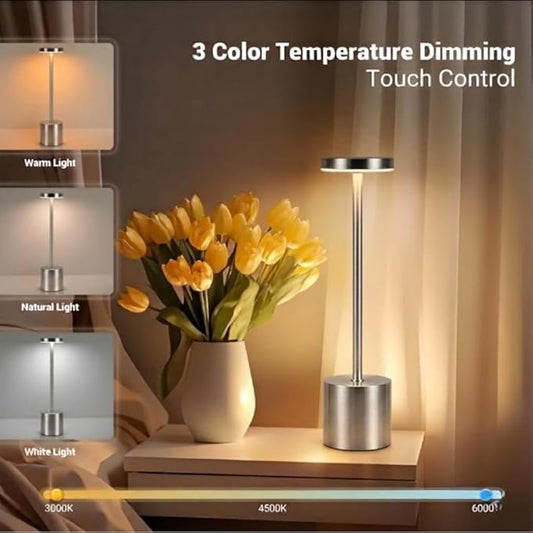 Modern Sliver Rechargeable Table Lamp with 3 Color Light Modes