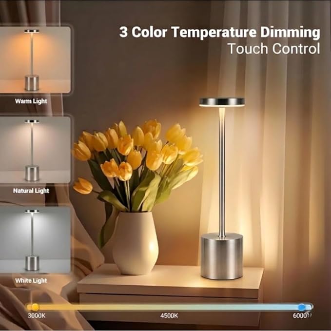 2 Pack Modern Sliver Rechargeable Table Lamp with 3 Color Light Modes