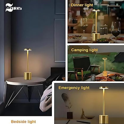 2 Pack Modern Gold Rechargeable Table Lamp with 3 Color Light Modes