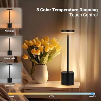 2 Pack Modern Black Rechargeable Table Lamp with 3 Color Light Modes